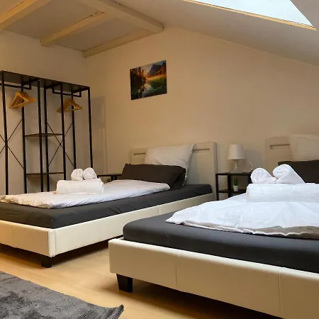 Deluxe Business Mit Netflix Premium & Parkplatz, Zentral Zu Audi & Schwarz Gruppe With 2 Bedrooms * Bad Friedrichshall