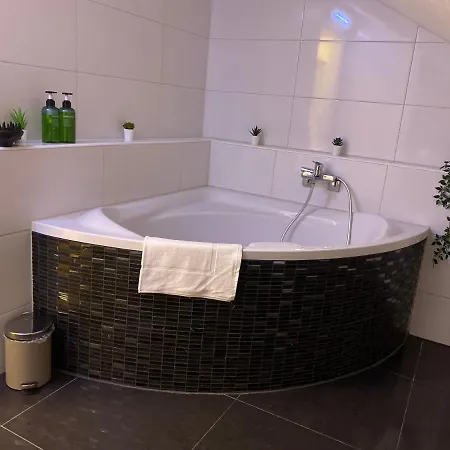 Lägenhet Stn Deluxe - Mit 2 Schlafzimmer & Parkplatz, Highspeed Wlan, Netflix Premium, Zentral Zu Audi & Schwarz Gruppe Bad Friedrichshall