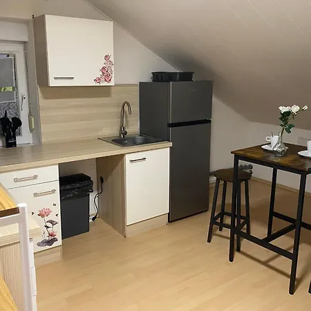 Apartment Deluxe Business Mit Netflix Premium & Parkplatz, Zentral Zu Audi & Schwarz Gruppe With 2 Bedrooms